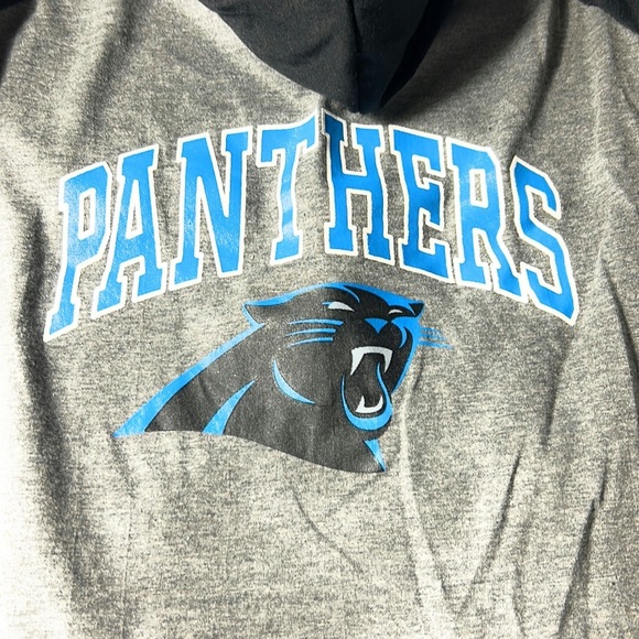 Carolina Panthers Team Hoodie for Pets - Picture 2 of 5